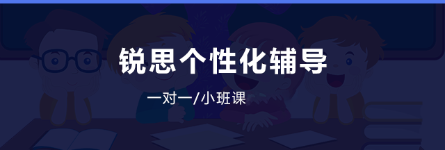 课外辅导就选锐思